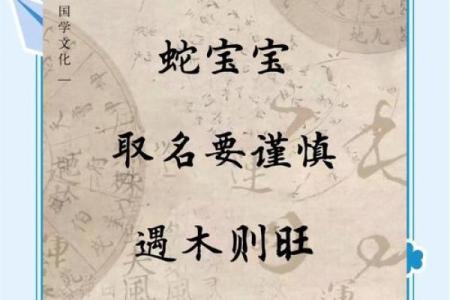 探索木命蛇的最佳居住楼层，提升生活品质的秘密