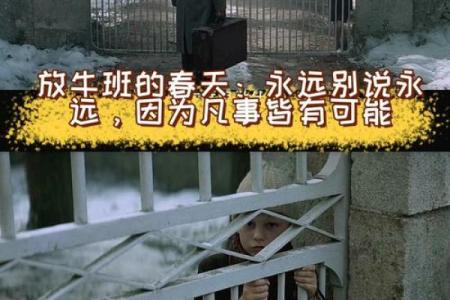 探寻《不是命》：一首承载青春情感的经典之作