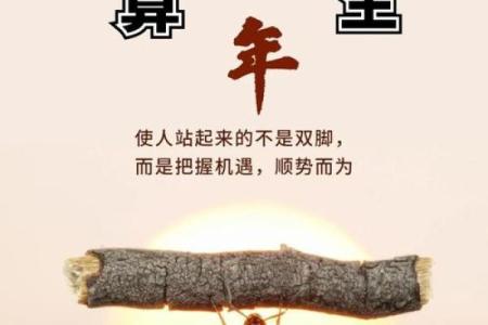 2018年命运揭秘：岁月流转中的机遇与挑战