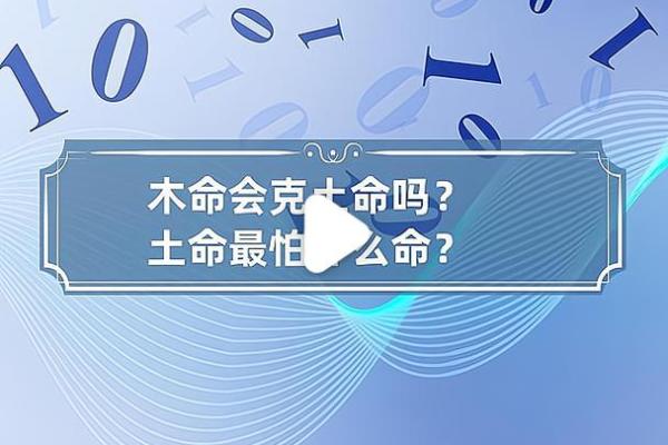 1994年出生者的木命特质与人生启示