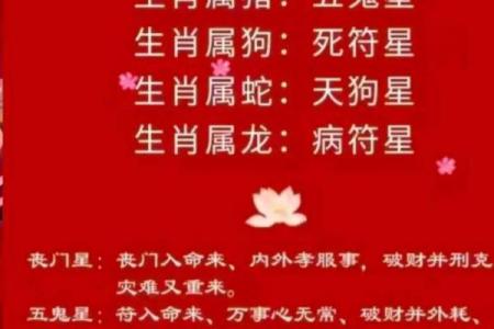 2023年：属猪人41岁的人生转折与命格解析