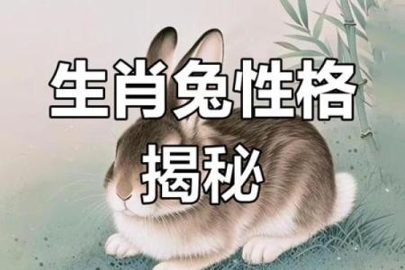 1983年生肖兔：命运与性格的深度解析