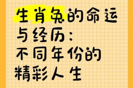 1987年男性生肖属兔，命运解读与生活指导