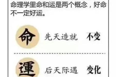 算卦与命运的交织：能否揭示人生的奥秘？