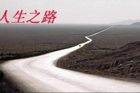 探索女命行官运的奥秘与人生道路的选择