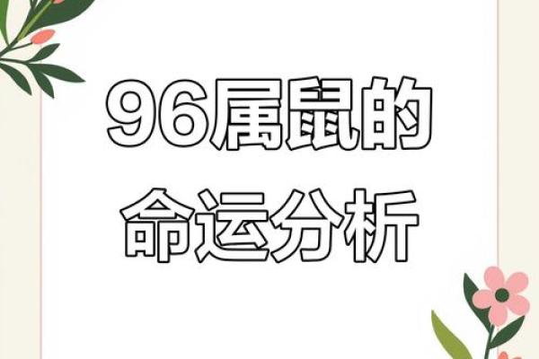 1996年属鼠：如何选择命中的最佳之路