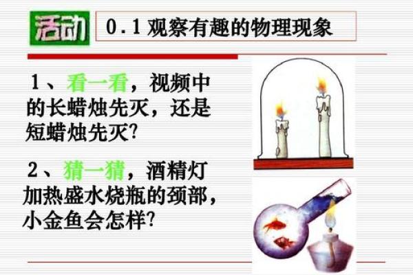《戏命师的秘诀：放大与饮品搭配的艺术》