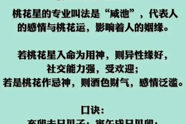 58虚岁是什么星入命？揭秘命理背后的秘密与转折！