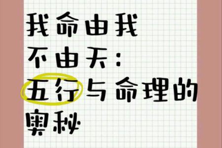 196年是什么命？揭秘五行命理的奥秘与智慧