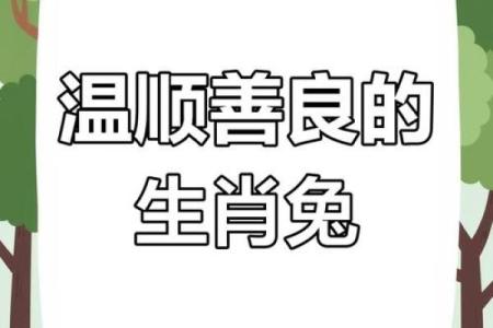 63年兔子命：温和与智慧的生活启示