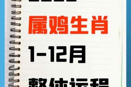 1993属鸡男的命运与人生启示：从命理看人生转变与成长