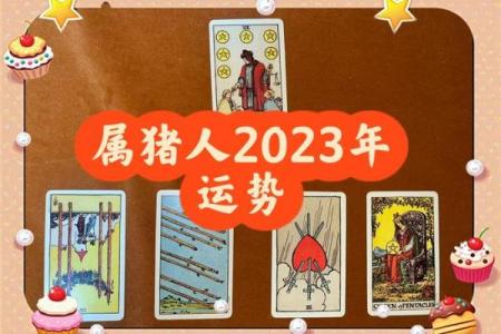 2023年属猪人的命理解析：财运、感情与事业的全面解读