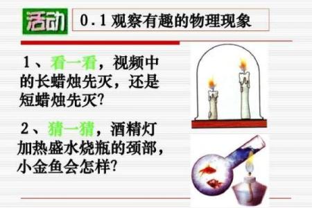 《戏命师的秘诀：放大与饮品搭配的艺术》