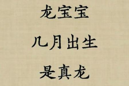 2002年2月21日出生的人：命运与性格分析