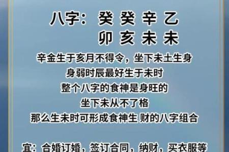 2023年兔年的命理分析：寻找开展新生活的机会与方向