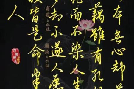 命运与个体：命由心生，运由行造的深刻哲理