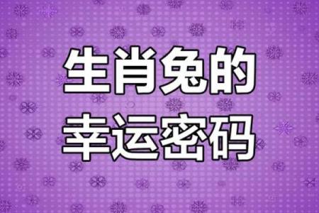 2011年属兔人的命运与运势解读，开启新篇章！