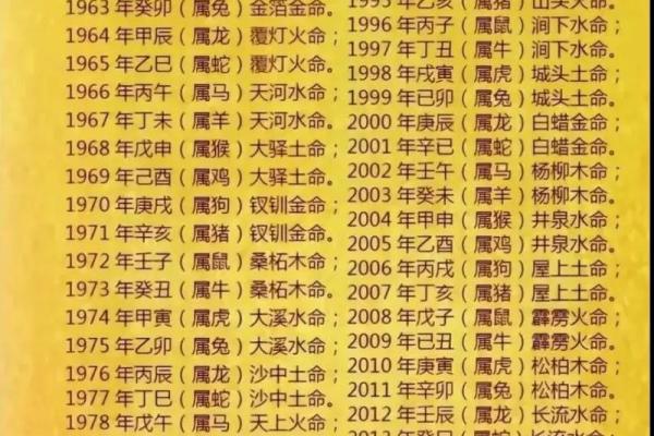 2000年出生男孩的命运解析：属什么命以及影响因素