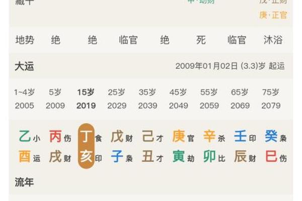 探秘女命八字中的纯阴格：魅力与命运的交织
