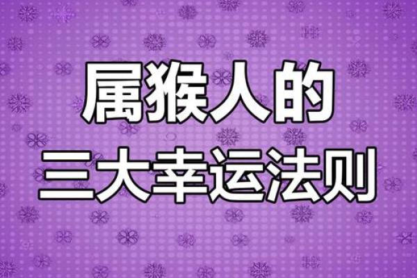 2004年属猴人的命理分析与人生启示