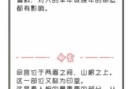 探秘“锦绣换麻衣”：命运背后的深层寓意与影响