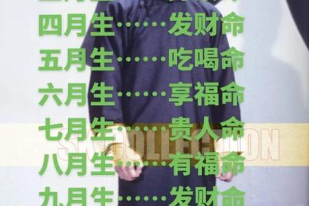 2000年出生男孩的命运解析：属什么命以及影响因素