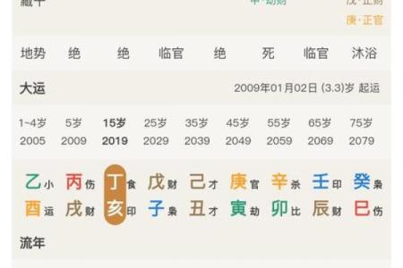探秘女命八字中的纯阴格：魅力与命运的交织