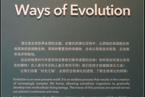 1999年出生的人命理解析：解密生命之路与性格特征