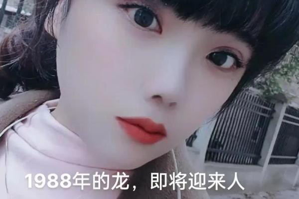 1988年出生的你，生肖龙的命运之旅！