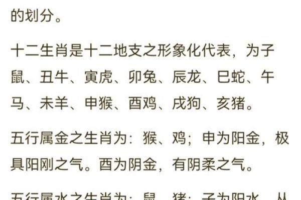 探寻2012年出生人的命运密码：生肖与五行的奇妙结合
