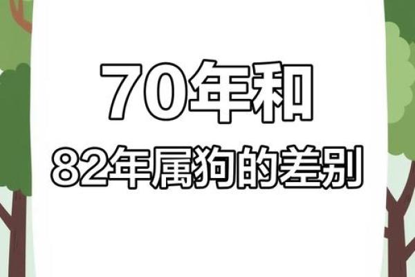 1982年狗年：命运与性格的神秘探寻