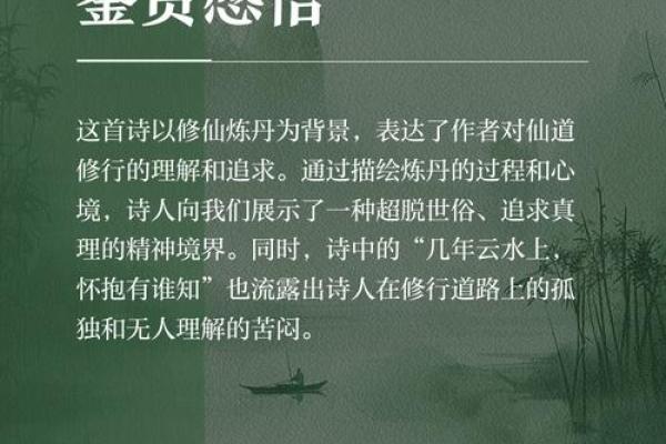 命带血刃的宿命：揭示隐藏在命运背后的深刻智慧