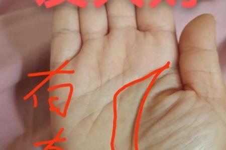 面相揭秘：那些掌握财富密码的好面相特征