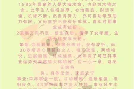 属猪的人生运势解析：命理与性格的完美结合