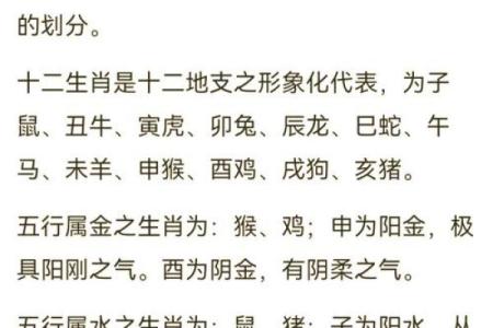 探寻2012年出生人的命运密码：生肖与五行的奇妙结合