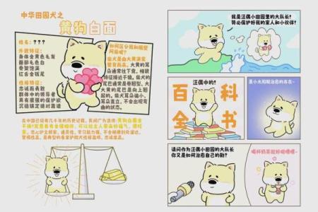 1982年狗年：命运与性格的神秘探寻