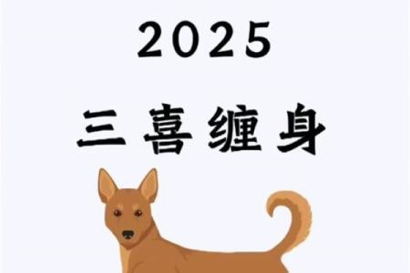 属狗女腊月二十命理解析：运势与生活的完美结合