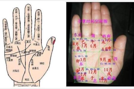 揭秘土豪命女性的手相特征，看看你是否拥有！