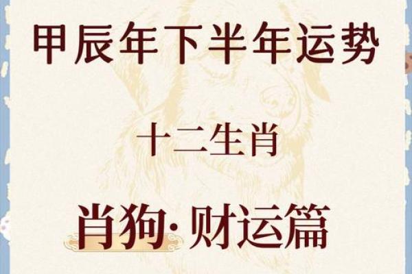 1994年属狗之命运解析：揭示五行与性格的奥秘