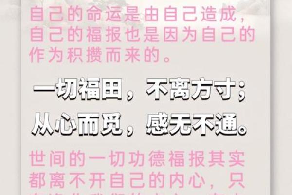 禅师的智慧：为何命运不可更改的深刻思考