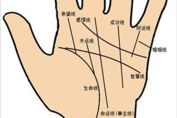 右手断掌的女人命运解析：深藏命理的奥秘与人生转折