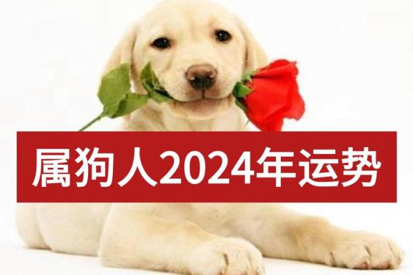 18年属狗，命元火，揭开你的性格与运势秘密！