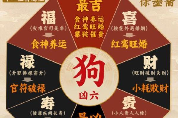 18年属狗，命元火，揭开你的性格与运势秘密！
