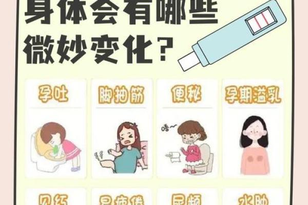 探索女性命理：哪些流年易怀孕及其背后的秘密