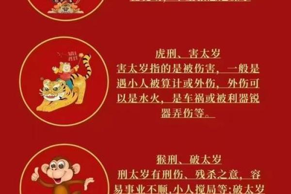 探秘男命祖父生肖对人生影响的奥秘