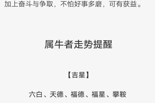 2008年属牛人的命运解析与人生方向探讨