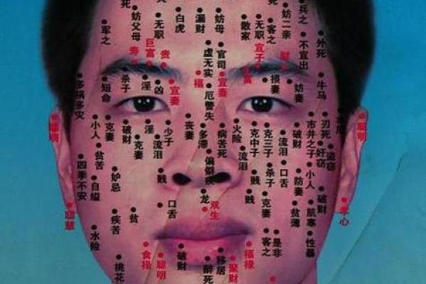 揭示面相之谜：这些特征暗示破财女命！