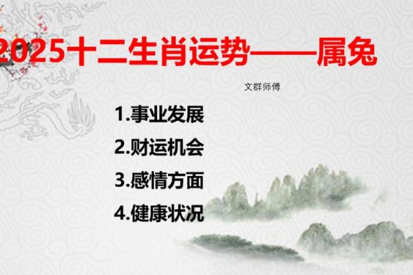 32岁属兔子：了解兔子的命理与未来运势