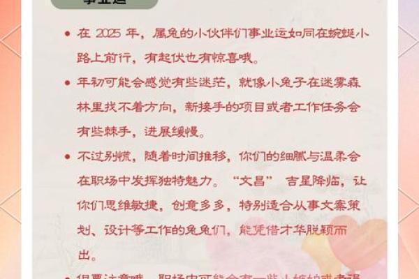 32岁属兔子：了解兔子的命理与未来运势
