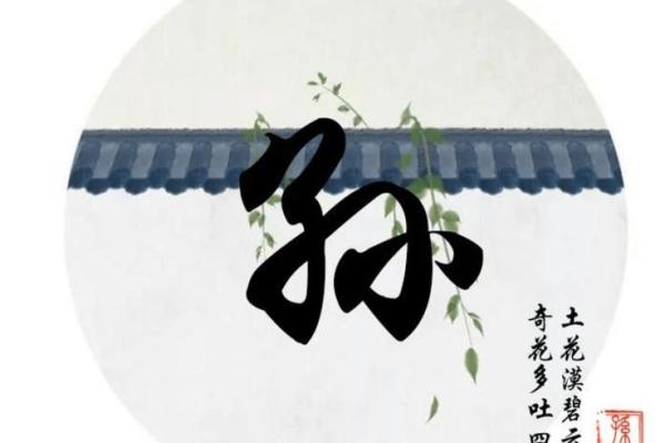 海中金命起名之道：那些你不可不知的秘诀！